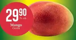 CC Mat Mango Cevita tilbud