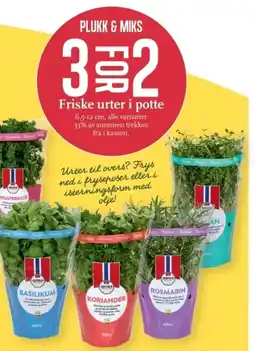 CC Mat Friske urter i potte tilbud