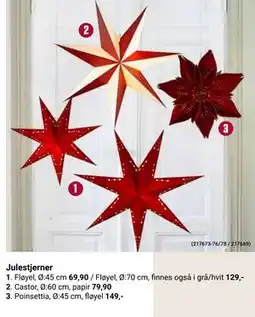 Europris Poinsettia, NOK 149 tilbud