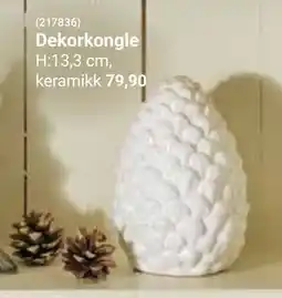 Europris Dekorkongle, NOK 79.9 tilbud
