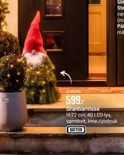 Europris Granbarnisse, NOK 599 tilbud