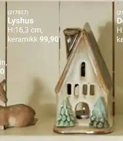 Europris Lyshus, NOK 99.9 tilbud