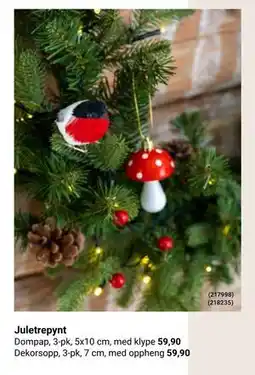 Europris Juletrepynt tilbud
