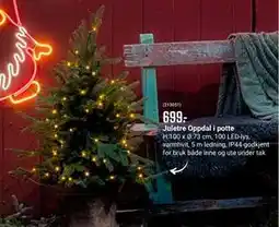 Europris Juletre Oppdal i potte, NOK 699 tilbud
