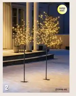 Europris Lystre Stetind tilbud