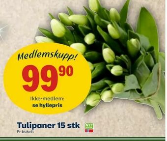 Coop Mega Tulipaner 15 stk tilbud