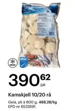 Storcash Kamskjell 10/20 rå tilbud