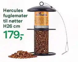 Felleskjøpet Hercules fuglemater til nøtter h26 cm tilbud
