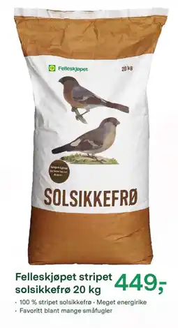 Felleskjøpet Felleskjøpet stripet solsikkefrø tilbud