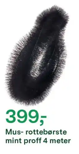Felleskjøpet Mus- rottebørste mint proff 4 meter tilbud