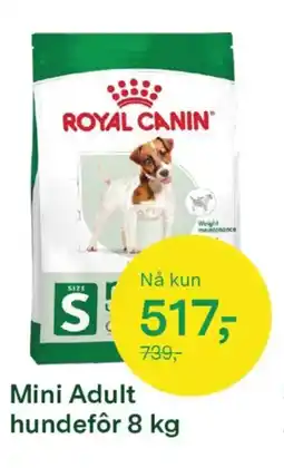 Felleskjøpet Mini adult hundefôr tilbud