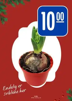 Rema 1000 SVIBEL, NOK 10 tilbud