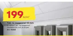 Byggmax Tak- & veggpanel 10 mm, NOK 199 tilbud