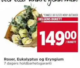 Meny Roser, Eukalyptus og Eryngium, NOK 149 tilbud