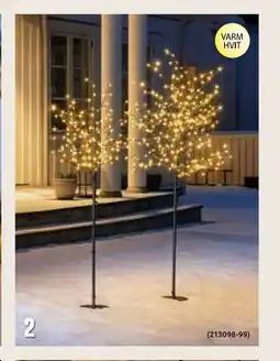 Europris Lystre Stetind, NOK 399 tilbud