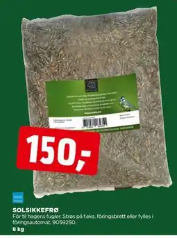 jem & fix SOLSIKKEFRØ, NOK 150 tilbud