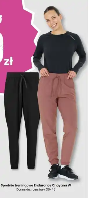 Sport Outlet Spodnie treningowe Endurance Chayana W tilbud