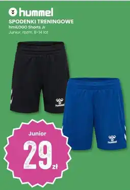 Sport Outlet Hummel spodenki treningowe hmilogo shorts jr tilbud