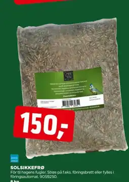 jem & fix Solsikkefrø tilbud