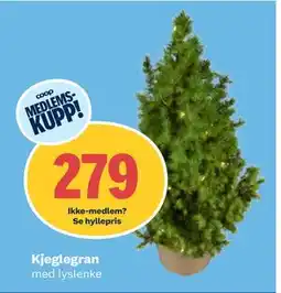 Coop Obs Kjeglegran, Medlemspris tilbud