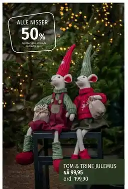 Nille ALLE NISSER tilbud