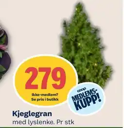 Coop Mega Kjeglegran, Medlemspris tilbud