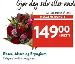 Jacobs Roser, Alstro og Eryngium, NOK 149 tilbud