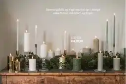 Nille LED-LYS tilbud