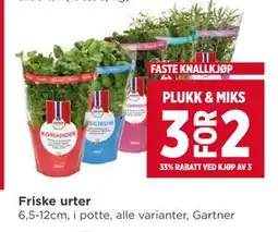 Meny Friske urter tilbud