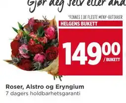 Meny Roser, Alstro og Eryngium, NOK 149 tilbud