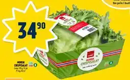 Coop Prix NORSK CRISPISALAT, NOK 34.9 tilbud