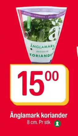 Coop Extra Änglamark koriander, NOK 15 tilbud