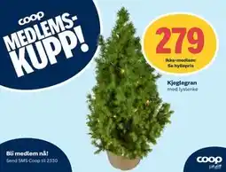 Coop Extra Kjeglegran., Medlemspris tilbud