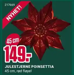 Europris JULESTJERNE POINSETTIA, NOK 149 tilbud
