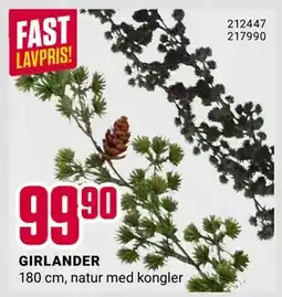 Europris GIRLANDER, NOK 99.9 tilbud