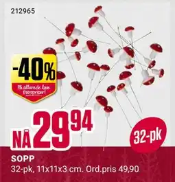 Europris SOPP, NOK 29.94 tilbud