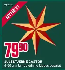 Europris JULESTJERNE CASTOR, NOK 79.9 tilbud