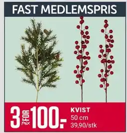 Europris KVIST, Medlemspris tilbud
