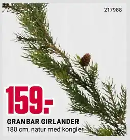 Europris GRANBAR GIRLANDER, NOK 159 tilbud