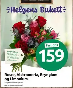 Joker Roser, Alstromeria, Eryngium og Limonium, NOK 159 tilbud