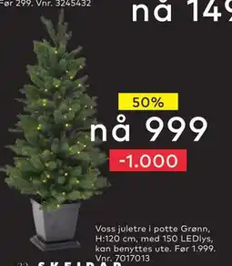 Skeidar Voss juletre i potte Grønn, NOK 999 tilbud
