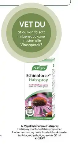 Vitusapotek Vogel Echinaforce Halsspray, NOK 299.9 tilbud