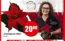 Spar Julestjerne Mini, NOK 20 tilbud