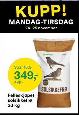 Felleskjøpet solsikkefrø 20 kg, NOK 349