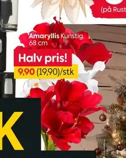 Rusta Amaryllis, NOK 9.9 tilbud