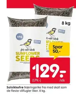 Rusta Solsikkefrø, NOK 129 tilbud