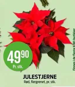 Kiwi JULESTJERNE, NOK 49.9 tilbud