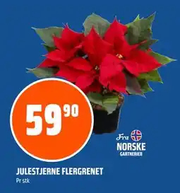 Coop Obs JULESTJERNE FLERGRENET, NOK 59.9 tilbud