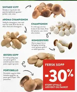 Jacobs SHITAKE SOPP tilbud