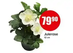 Spar Julerose, NOK 79.9 tilbud